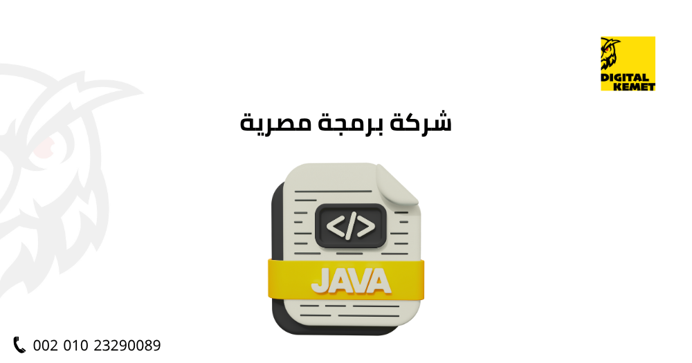 شركة برمجة مصرية