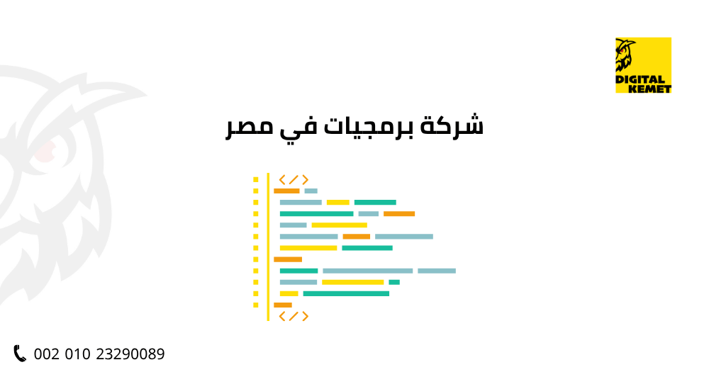 شركة برمجيات في مصر