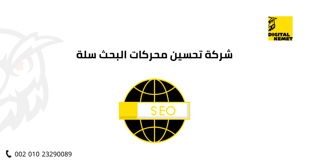 شركة تحسين محركات البحث سلة