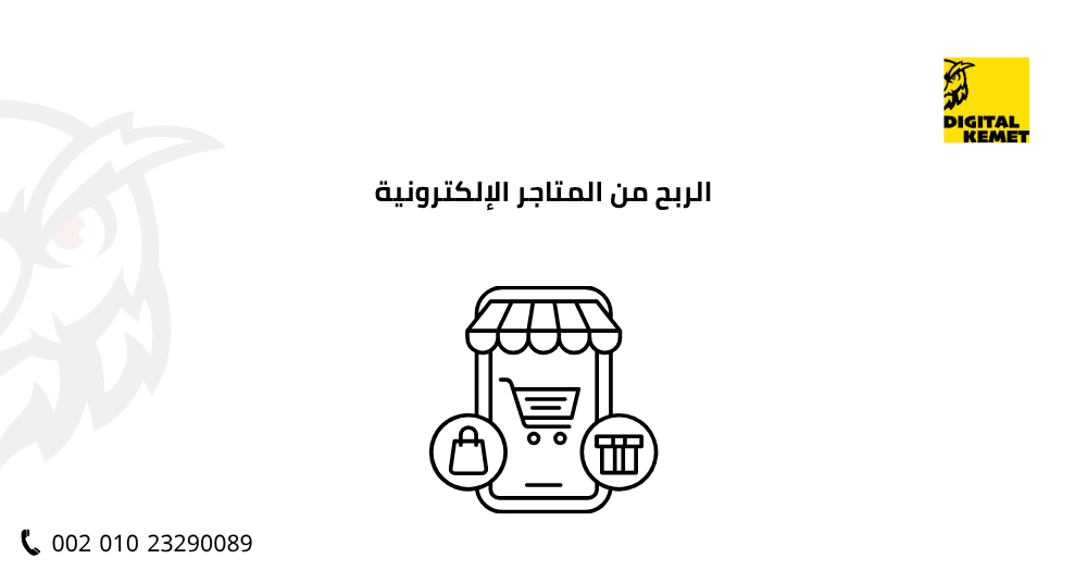 الربح من المتاجر الإلكترونية