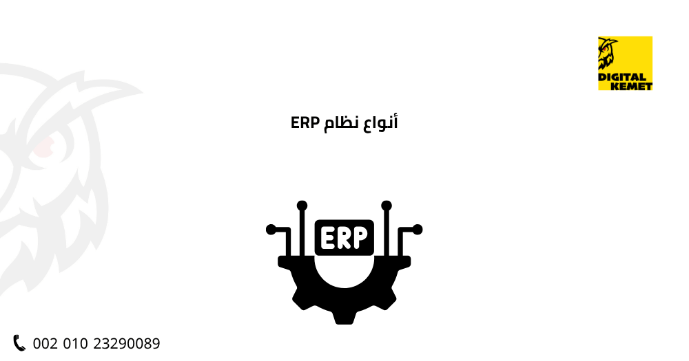 أنواع نظام ERP