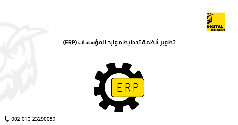 تطوير أنظمة تخطيط موارد المؤسسات (ERP)