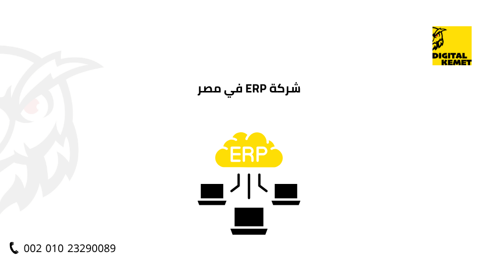 شركة ERP في مصر